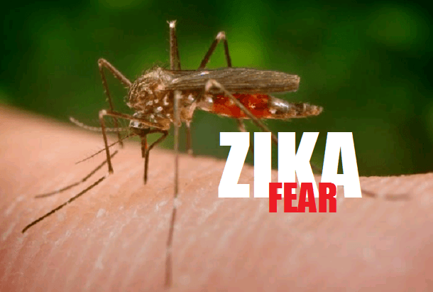 Zika Virus