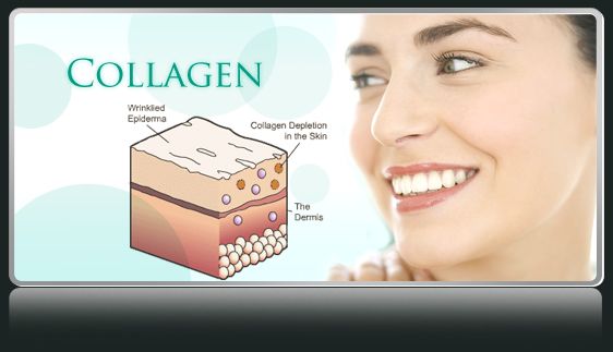 about-collagen