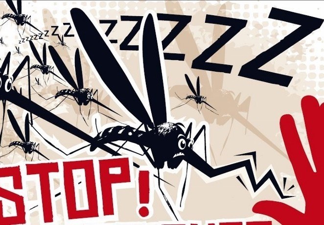 How To Stop Zika Virus