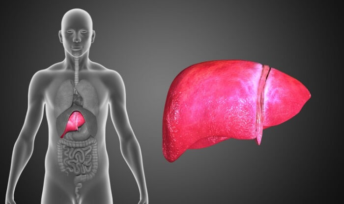 Improve Liver Function Naturally